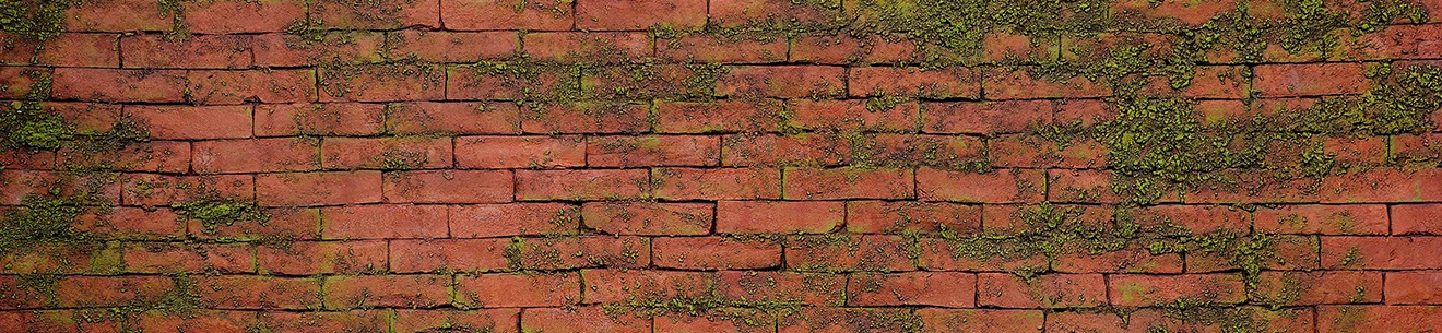 MASONRY MOSS - Rojo